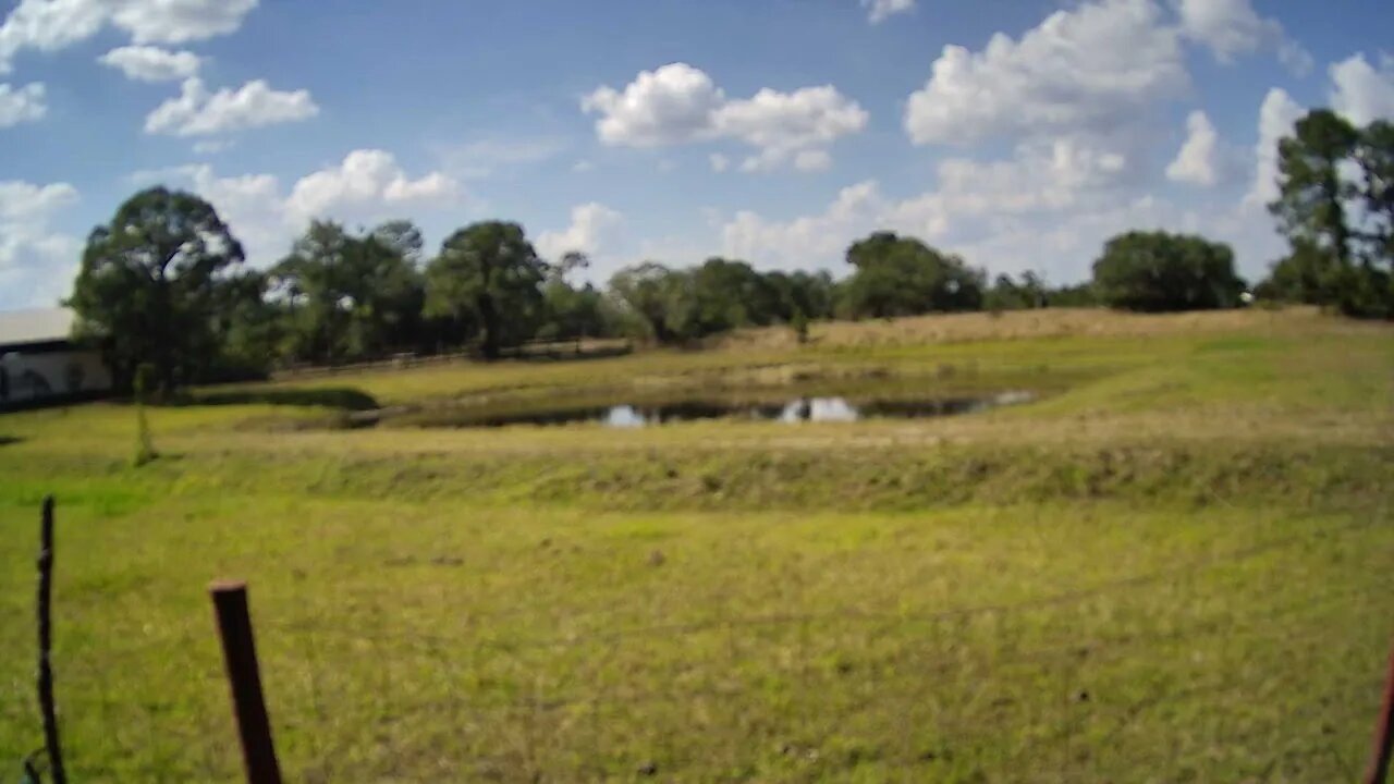 4/16/22 Afternoon at Venus Ranch.