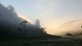 Good morning Autumn paradise from down under