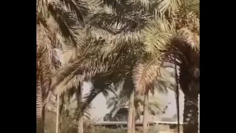 It's Official! USA lost war in Iraq!