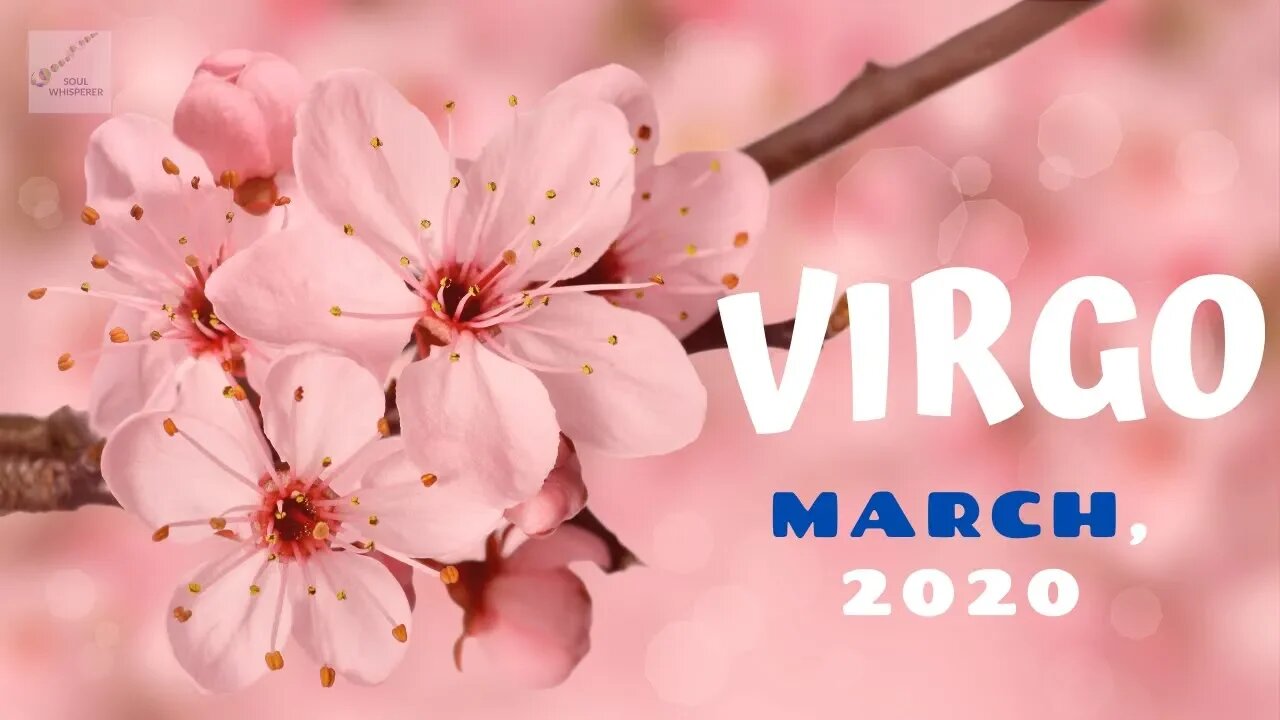 ♍ VIRGO ♍: Don't Take the Bait, Rise Above the Nonsense * March 2020