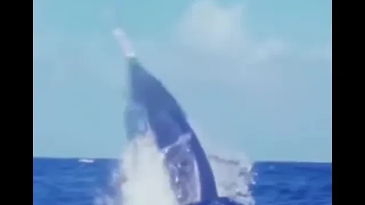 A monstrous marlin flings away a baited hook