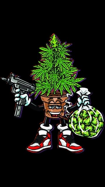 A Stoner Explains being Dumb