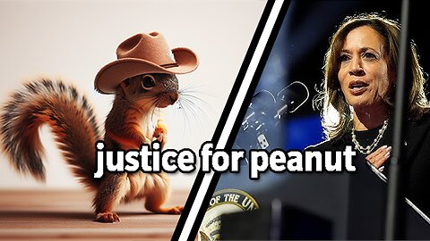 Kamala Harris Full Concession Speech, joined by Peanut the Squirrel?