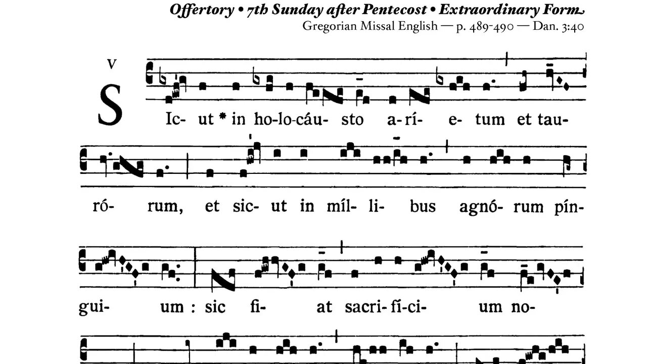 Sicut in holocaustis - Offertory 7th Sunday post Pentecost