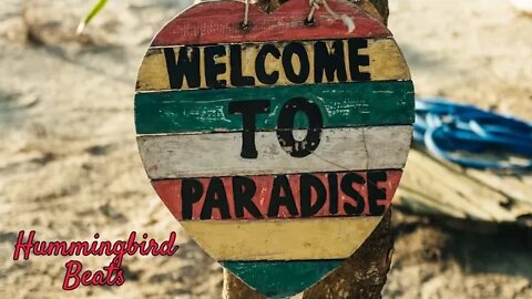 Bird of Paradise by SeaGull (No Copyright Music)