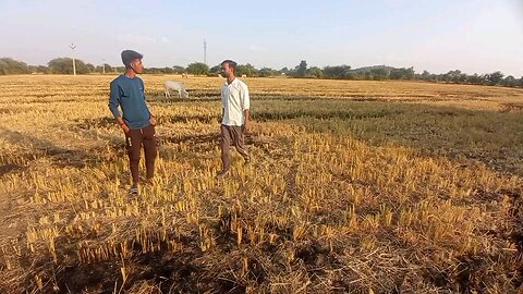 Indian Agriculture