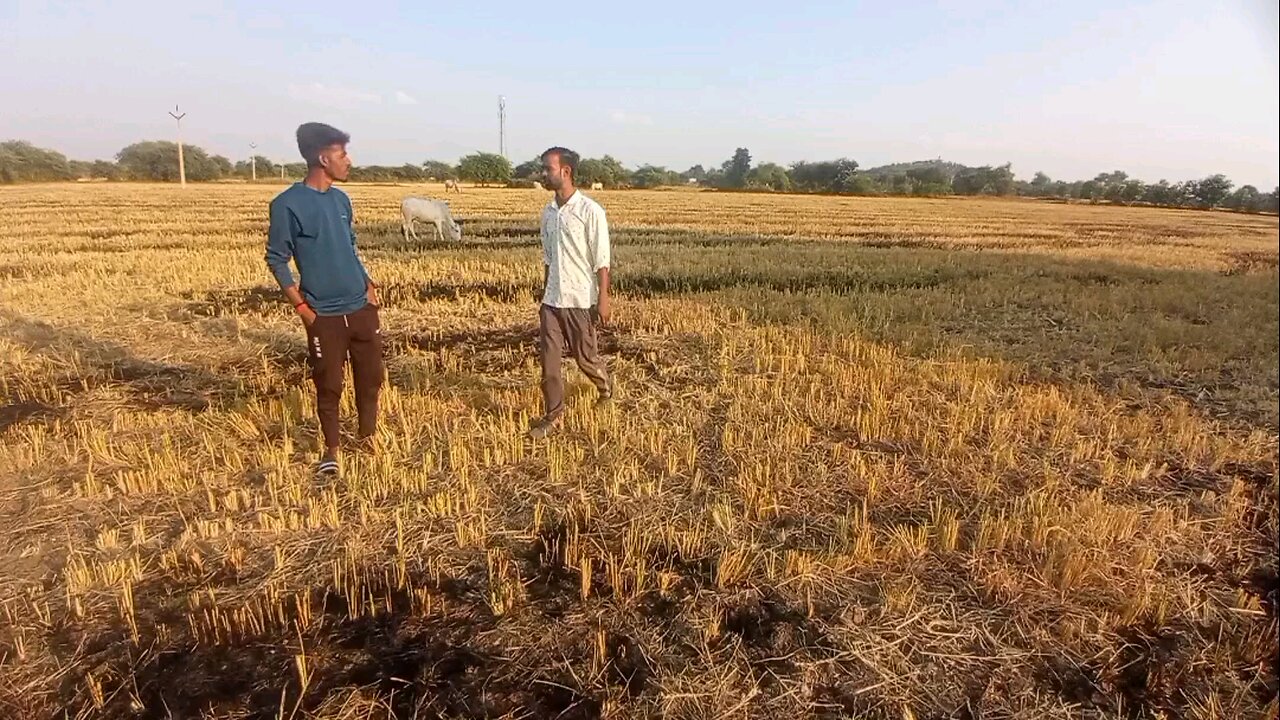 Indian Agriculture