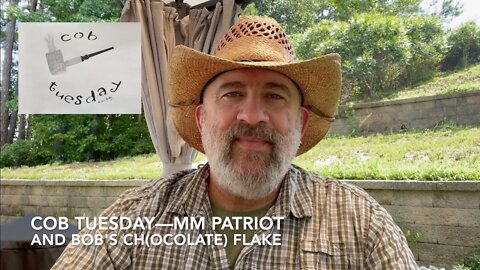 Cob Tuesday—MM Patriot and GH Bob's CH(ocolate) Flake