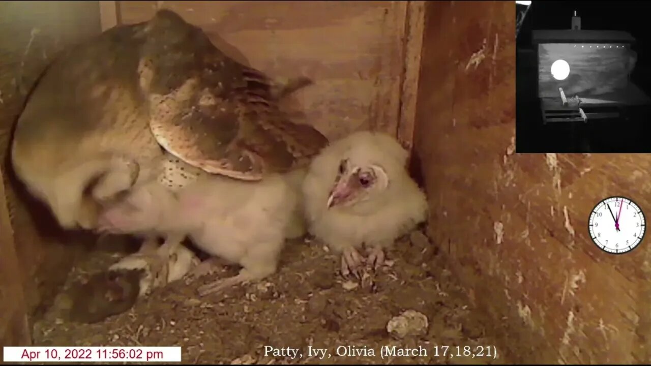 MO gets a little too close. 4-11-22