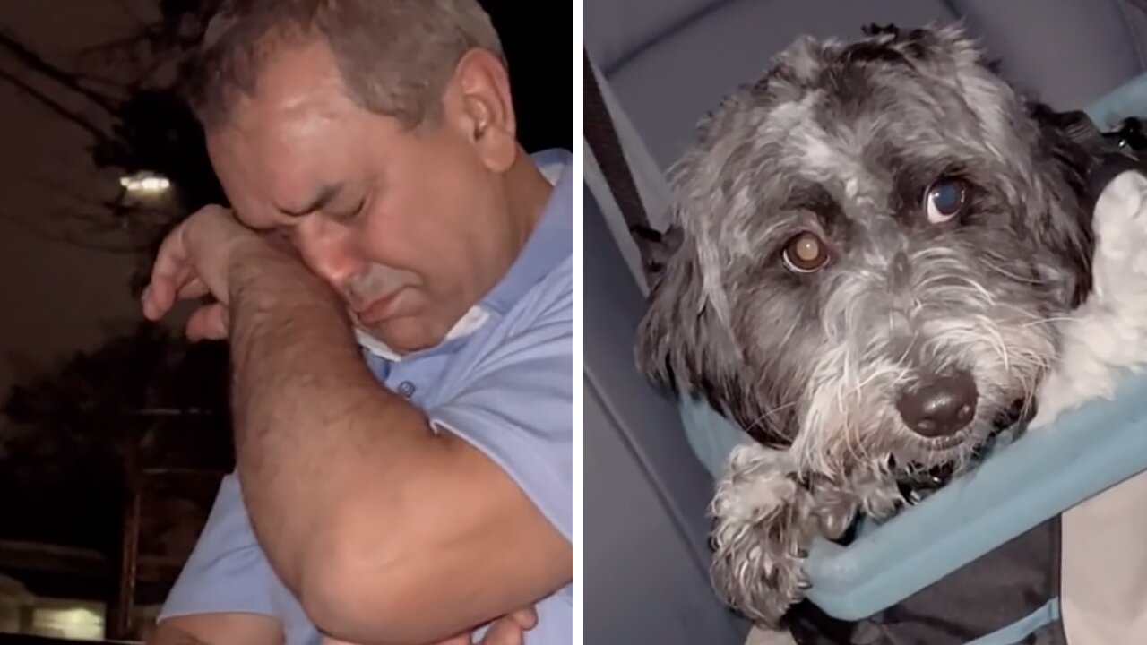 Man Who Never Wanted Dogs Cries After One Day Apart