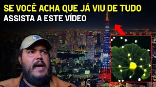 Se você acha que já viu de tudo, assista a este vídeo