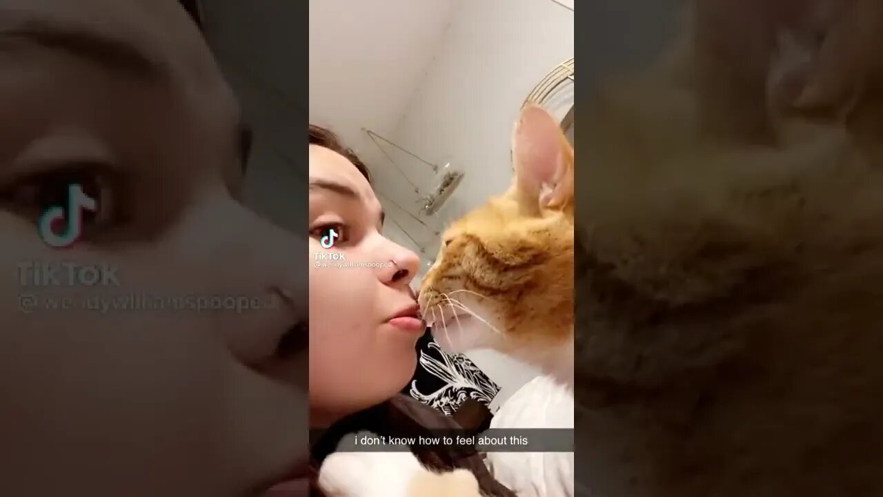 Cat Kisses Owner On The Lips I TikTok