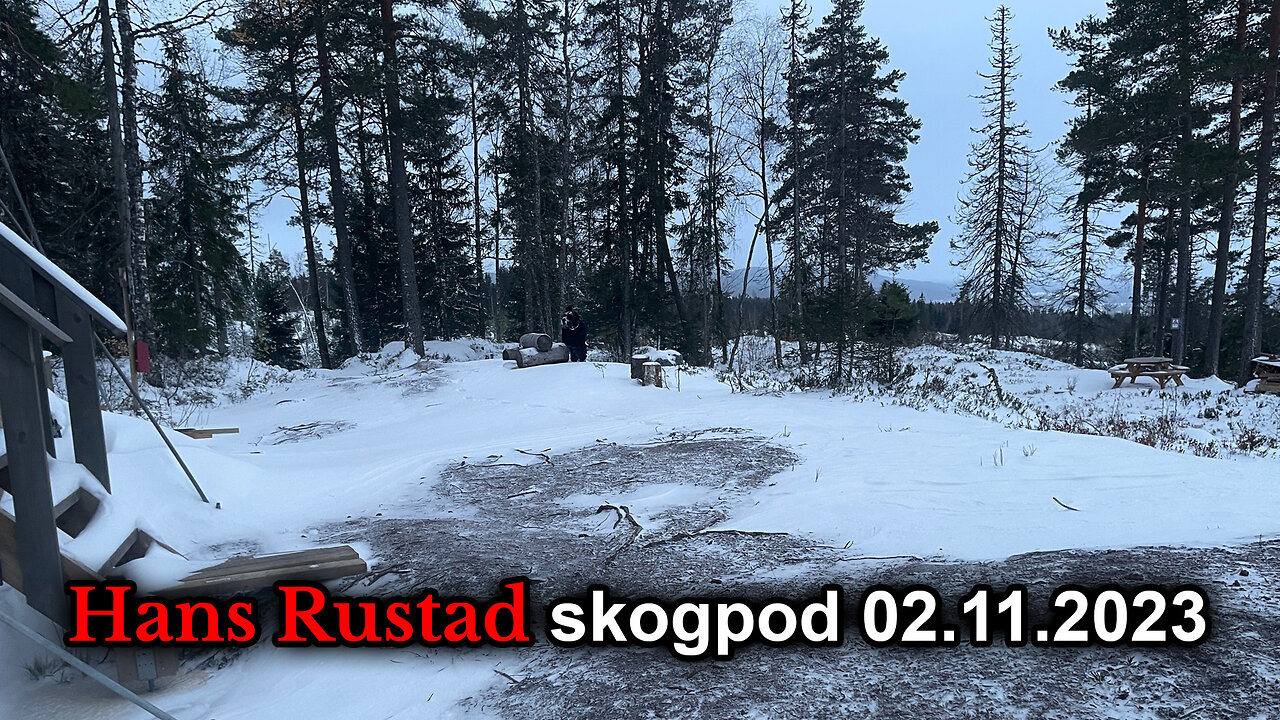 Skogpod 2. november 2023