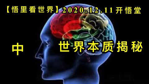 【悟里看世界】KWT480 201211-04 sjbzjm 美国资本与政府结构关系-世界本质揭秘（中）