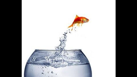 Fish out of waters||fish||water