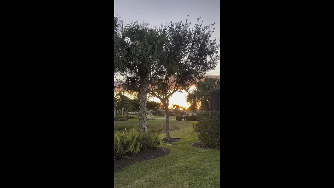 Sunset In Paradise 1/17/2023 #FYP #Sunset #SWFL #4K #DolbyVisionHDR #mywalksinparadise