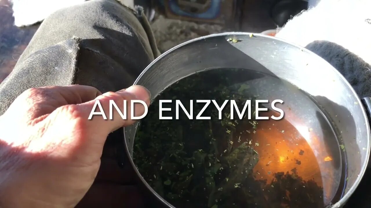 DIY Digestive Bitters