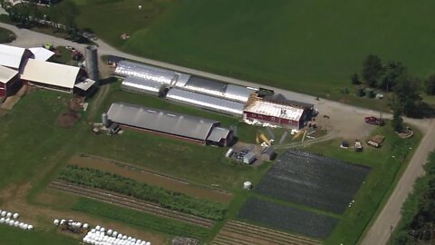 https://www.news5cleveland.com/weather/weather-news/house-and-barn-destroyed-during-severe-weather-in-wayne-county