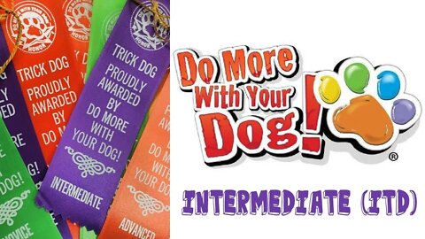 Do More With Your Dog - Juneau's Intermediate Dog Tricks - ITD