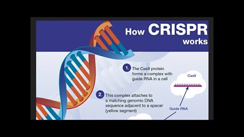 Discussion about gene editing, CRISPR, and Human 2.0 from a Christian perspective.