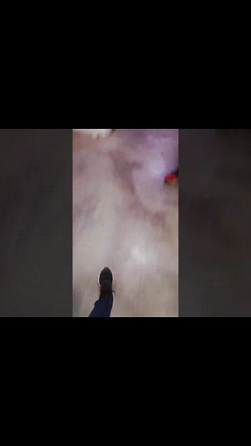 Πολυ σκληρες εικονες