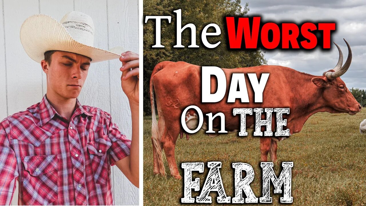 The (WORST!) Day On The Farm ~ 2022 (DROUGHT) ~ Cattle Crisis ~ Food Shortage