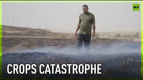 Fire destroys vital crops of Palestinian farmers | Who’s to blame?