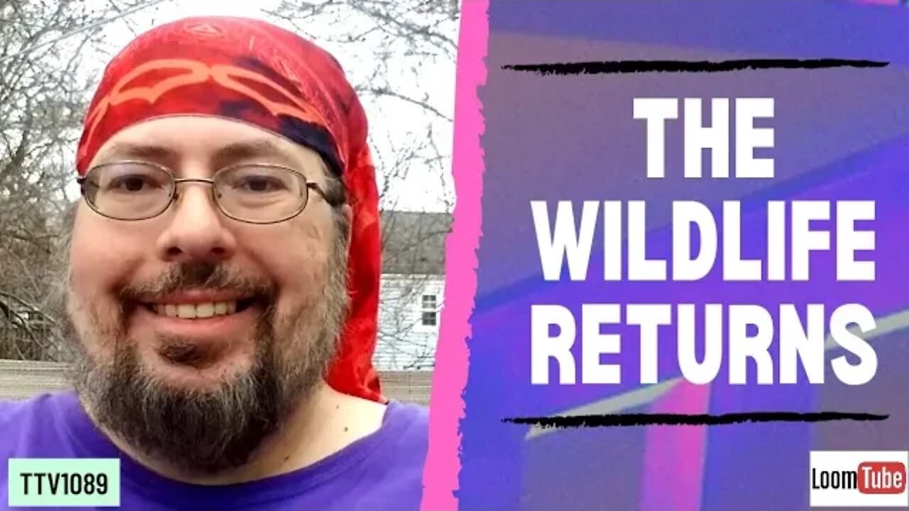 THE WILDLIFE RETURNS - 121520 TTV1089