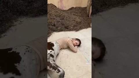 Alguém sabe me dizer o que é isso?