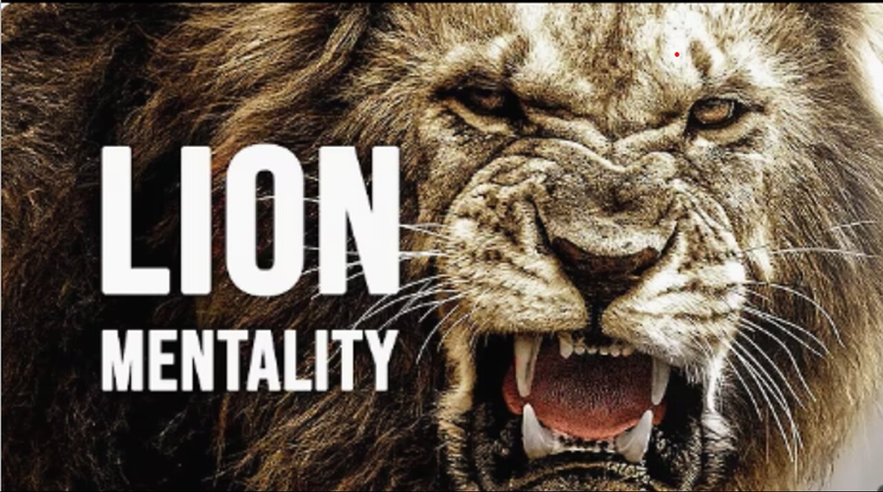 HOW TO BECOME A LION - Motivational video