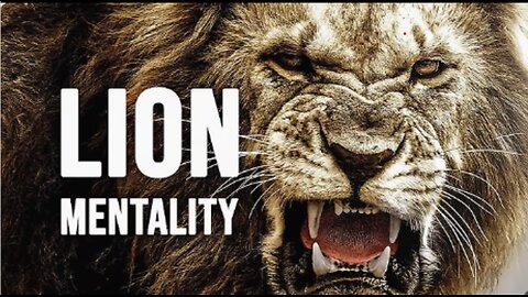 HOW TO BECOME A LION - Motivational video