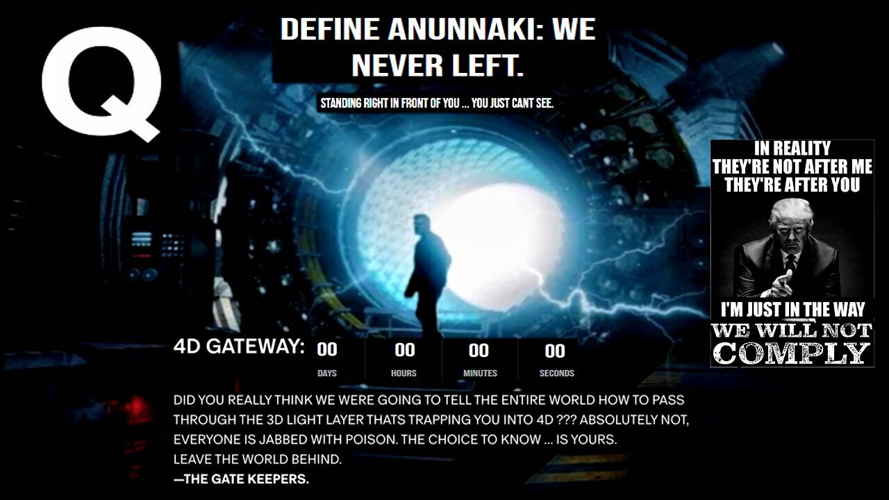 Q - DEFINE ANUNNAKI: WE NEVER LEFT. STANDING RIGHT IN FRONT OF YOU ... YOU JUST CANT SEE