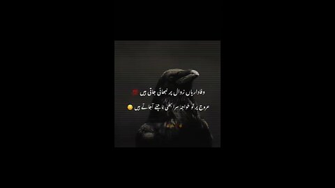 Love you papa jani