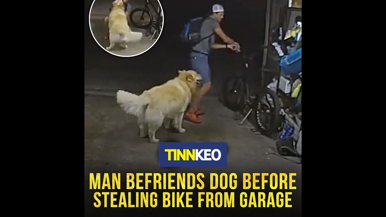 In San Diego, an audacious bike thief formed an unlikely connection