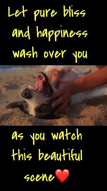 Let pure bliss and happiness wash over you now….