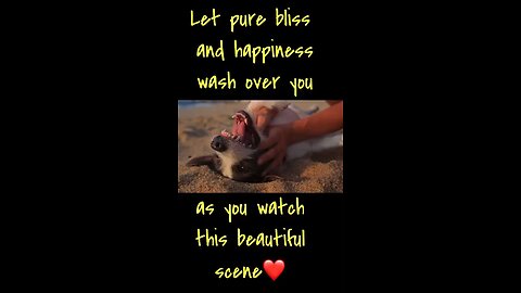 Let pure bliss and happiness wash over you now….