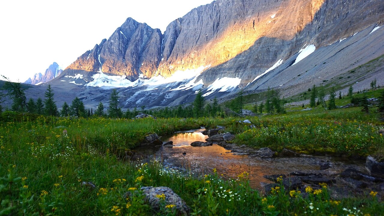 Rockwall Trail - Kootenay NP