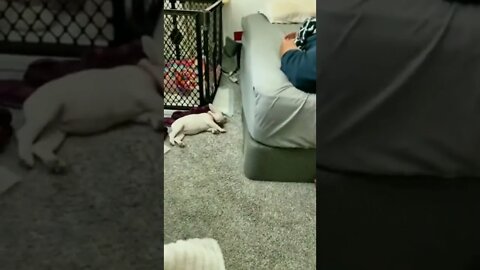 Ran out of battery..😂🤣🤣