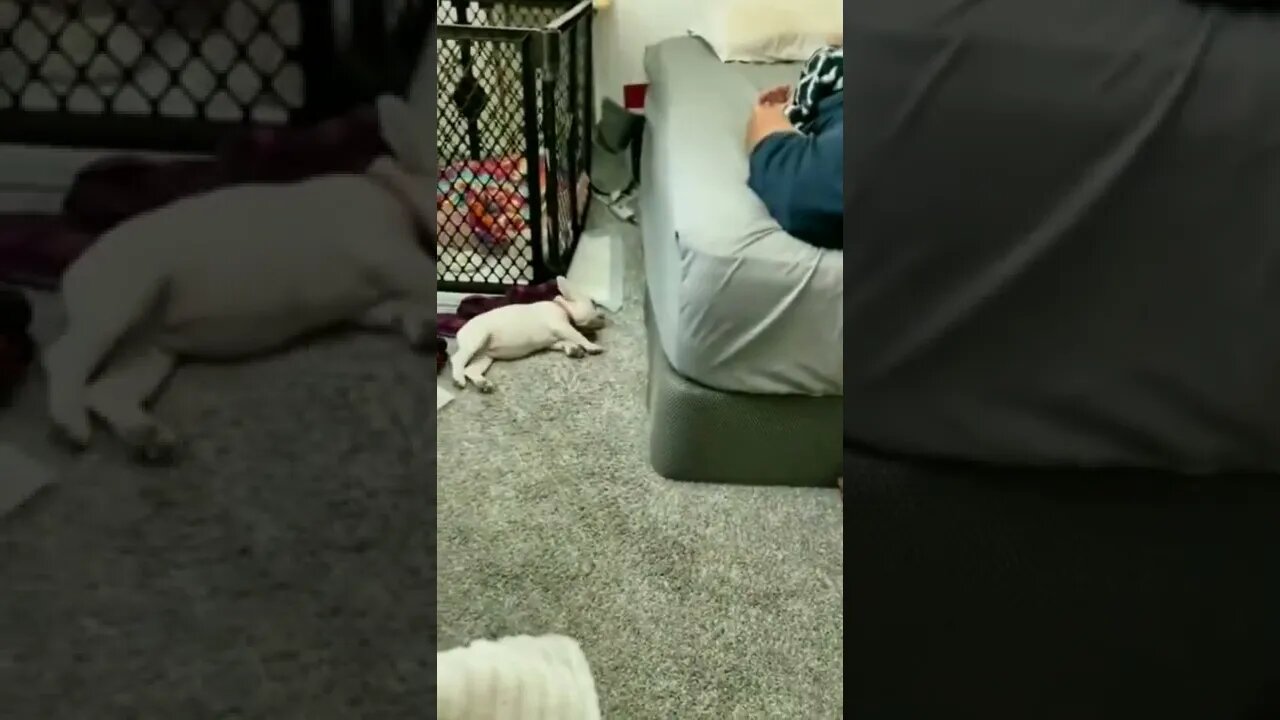 Ran out of battery..😂🤣🤣