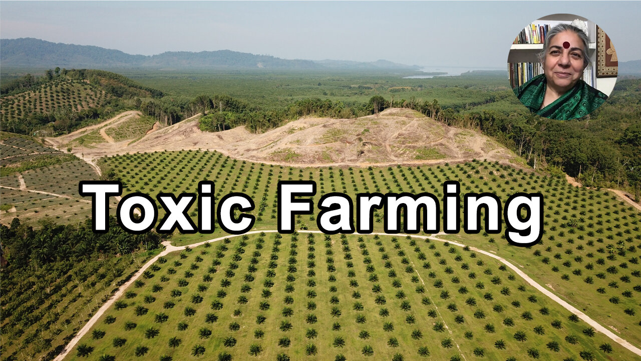 Forests Are Being Converted Into Toxic Farming - Vandana Shiva, PhD