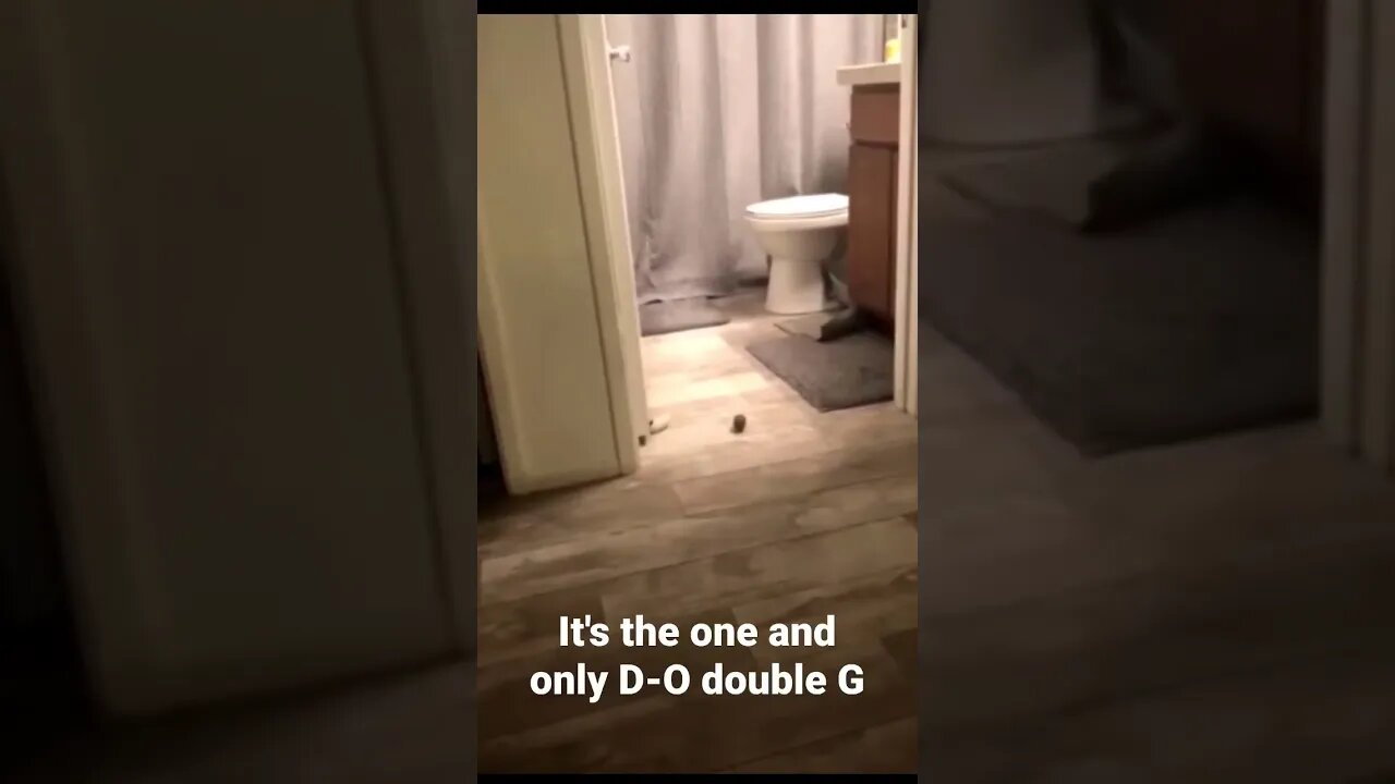 It's the one and only D-O double G #shorts