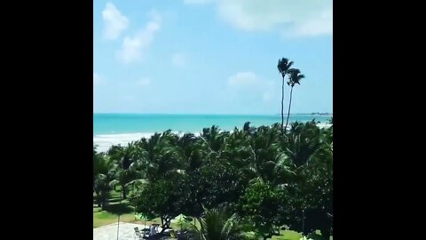 RESORT QUE FIQUEI HOSPEDADO EM RECIFE AMEI✈️✈️✈️🥰🥰