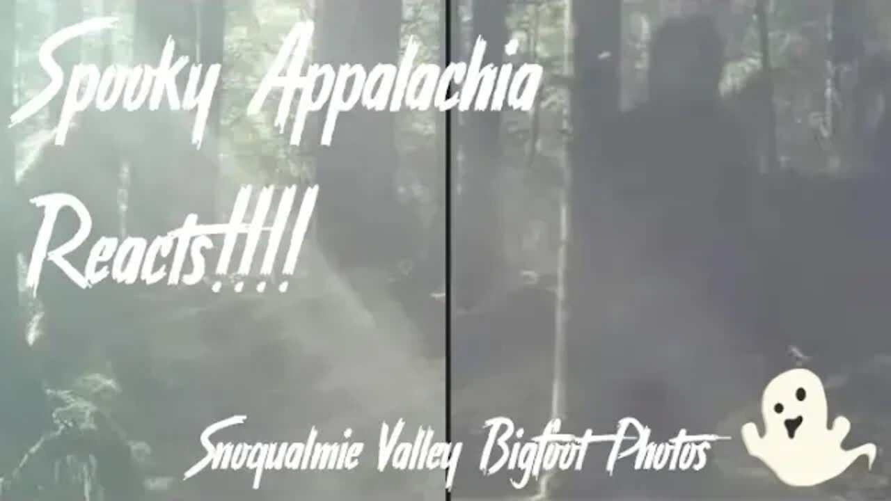 Spooky Appalachia Reacts - Snoqualmine Valley Bigfoot Photos