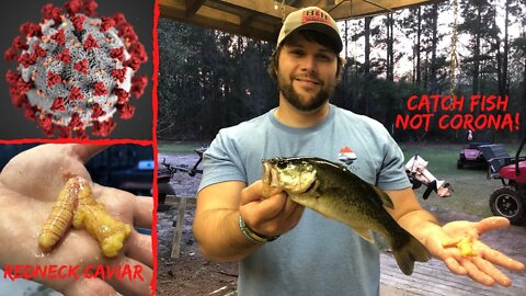 How to avoid the Coronavirus? Go Fishing (Redneck Caviar)