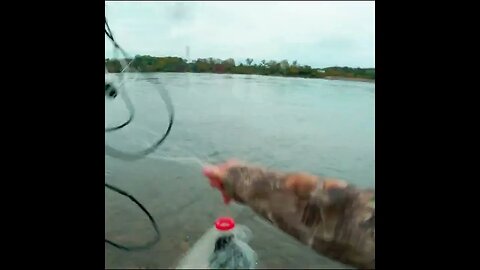 cast netting the river