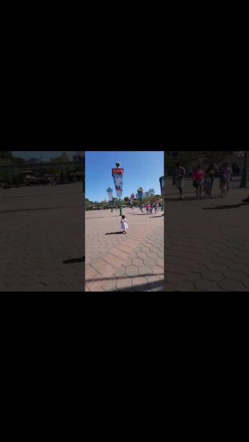 Disneyland Wanderers 😍 #shorts