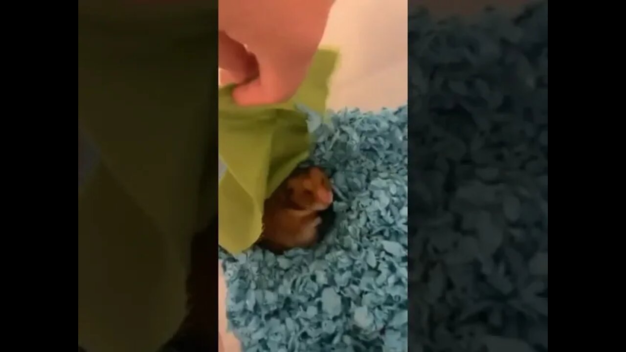 Grumpy napper