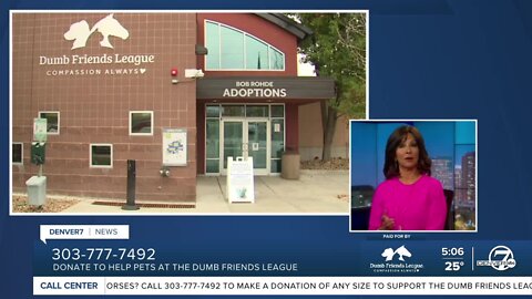 Dumb Friends League Call Center 12.13.22 News Hit 506PM