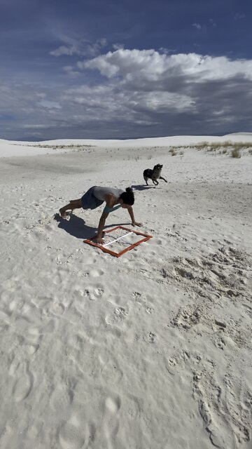 Banded Bear Crawl & Push-up