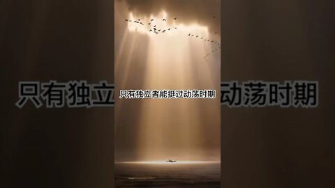一句话开悟20220525